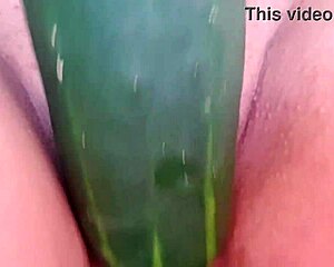 Estava com calor abri bem as pernas sem calcinha com minha buceta depilada peguei o pepino que estava bem molhadinho e coloquei na buceta grande que eu tenho e rosei bastante uma delicia