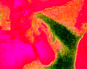 Hotwife foi sozinha na casa de swing e deixou o cuckold em casa transou com o solteiro e depois deu para o marido