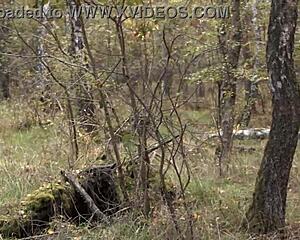 sweet forest fairy questioned as witch