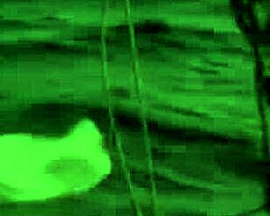 Odyssey chapter one lotus eaters trailer