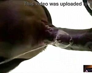 Her perfect lips suck dick so sloppy he busts hard nut
